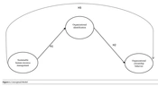 The Mediating Role of Organizational Identification on Sustainable Human Resources Management and Organizational Citizenship Behavior’s Relationship