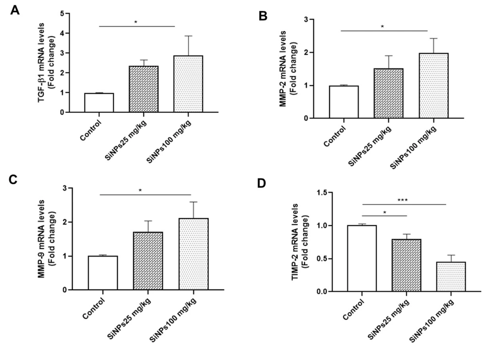 The effect of administration of silica nanoparticles (SiNPs) at doses of 25 and 100 mg/kg of body weight for 28 days on renal A, transforming growth factor-beta 1, B, matrix metalloproteinase 2 (MMP-2), C, MMP-9, and D, tissue inhibitor of metalloproteinase 2 expression levels. Each value is expressed as the mean ± SEM of 6 rats per group. *P < 0.05, ***P < 0.001: SiNPs groups compared to the control group. Abbreviations: TGF-β1, transforming growth factor-beta 1; MMP-2, matrix metalloproteinase 2; TIMP-2, tissue inhibitor of metalloproteinase 2. The effect of administration of silica nanoparticles (SiNPs) at doses of 25 and 100 mg/kg of body weight for 28 days on renal A, transforming growth factor-beta 1, B, matrix metalloproteinase 2 (MMP-2), C, MMP-9, and D, tissue inhibitor of metalloproteinase 2 expression levels. Each value is expressed as the mean ± SEM of 6 rats per group. *P < 0.05, ***P < 0.001: SiNPs groups compared to the control group. Abbreviations: TGF-β1, transforming growth factor-beta 1; MMP-2, matrix metalloproteinase 2; TIMP-2, tissue inhibitor of metalloproteinase 2.