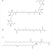 Cover image of the article: Crocin-Phospholipid Complex: Molecular Docking, Molecular Dynamics Simulation, Preparation, Characterization, and Antioxidant Activity