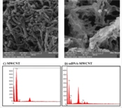 Signal-On Fluorescence Biosensor for Detection of miRNA-21 Based on ROX labeled Specific Stem-Loop Probe