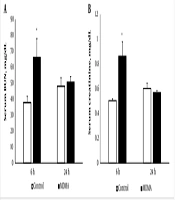 Time-Dependent Molecular Changes Following MDMA-Induced Nephrotoxicity