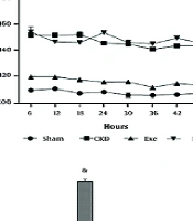PAG Masked Protective Physical Exercise-Induced High H2S Levels in 5/6 Nephrectomized Rats