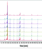 Establishment of an HPLC Fingerprint and Cluster Analysis for Miao Ethnic Medicine Osbeckia opipara