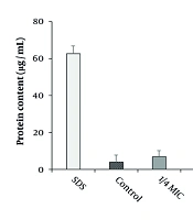 Antimicrobial, Anti-inflammatory, Angiogenesis, and Wound Healing Activities of Copper Nanoparticles Green Synthesized by Lupinus arcticus Extract