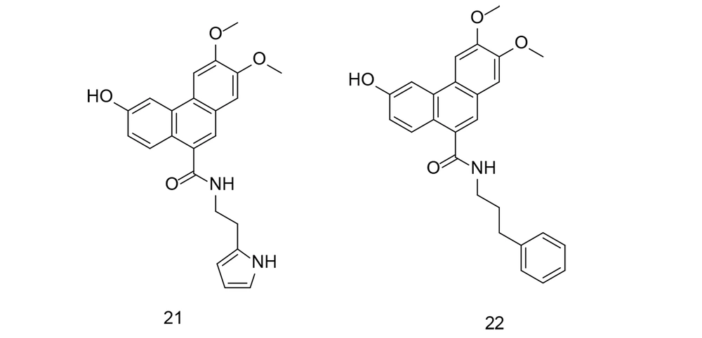 Novel 9-phenanthranilamide derivatives 21-22 Novel 9-phenanthranilamide derivatives 21-22