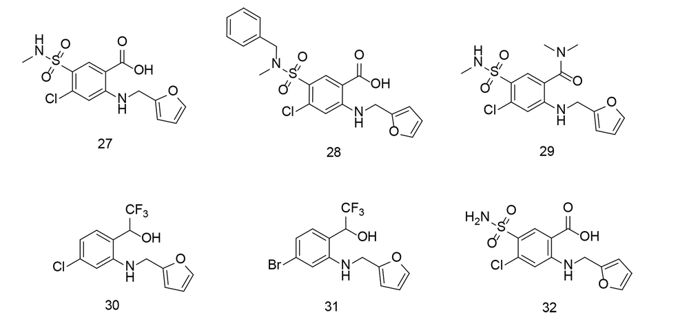 Furosemide analogs 27 - 31 and the parent compound furosemide 32 Furosemide analogs 27 - 31 and the parent compound furosemide 32