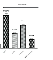 Dual Modulation of Canonical and Non-canonical TGF-β/ROS/Erk1/2 Pathways: Synergistic Activation of Nrf-2 and Antioxidant Enzymes (SOD1, GPx, HO-1) by Quercetin Loaded in Solid Lipid Nanoparticles and Curcumin in Atherosclerosis Therapy
