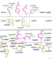 Design and Characterization of Ricin Based Immunotoxins Against EPHA2 Receptor for Breast Cancer Therapy: An In-Silico Study