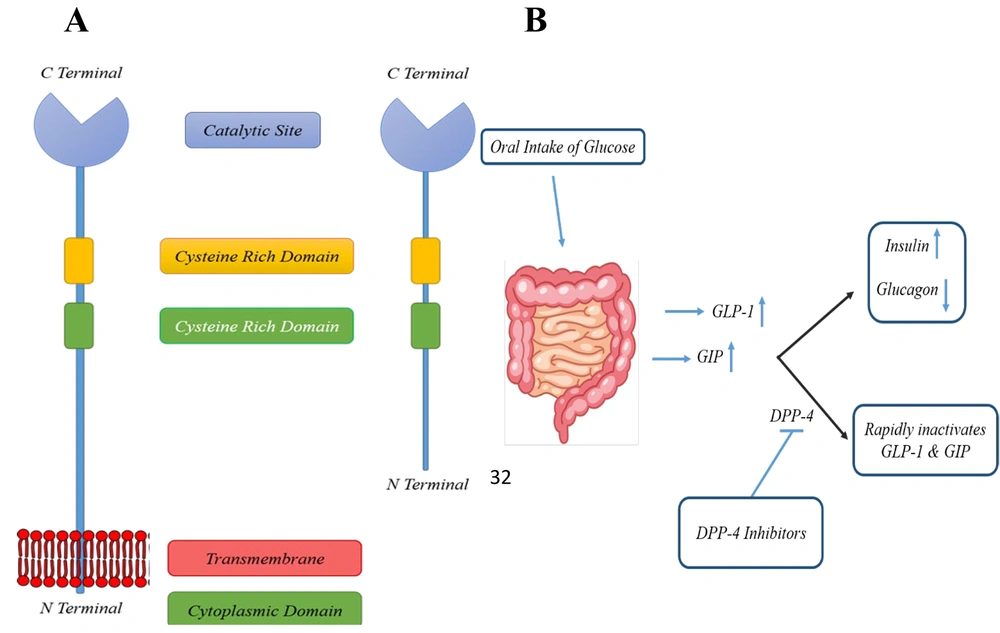 what is a natural glp 1 alternative GLP-1 Medications: Benefits, Risks, and Natural Alternatives — Home Planet  By Grove