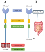 Cover image of the article: Dipeptidyl Peptidase-4 Inhibitors: A Systematic Review of Structure-Activity Relationship Studies