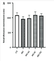 Comparative Evaluation of Aminoguanidine, Semicarbazide and Thiosemicarbazide Treatment for Methylglyoxal-Induced Neurological Toxicity in Experimental Models