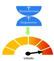 Cover image of the article: 5-Alpha Reductase Inhibitors on Hypersexuality During the Manic Phase of Bipolar and Psychotic Patients; New Insight to a Well-Known Medicines
