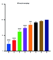 Evaluating The Therapeutic Effect of 2-Nitroimidazole on Toxoplasma gondii: An In vitro and In vivo Study Using BALB/c Mice