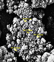Cover image of the article: Selective Toxicity of Iron, Manganese Oxide Nanostructure and Laser Wave on Colorectal and Breast Cancer Cell