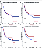 Genistein Exerts Anti-proliferative Effects by Regulating Apoptosis and Autophagy-Related Genes and MicroRNAs in Human Urinary Bladder Neoplasm EJ138 Cells: An Experimental and Bioinformatic Study