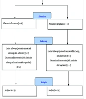 Perioperative Use of Pregabalin vs. Duloxetine for Pain Management of Knee Fracture Surgery: A Double-Blind Randomized Clinical Trial