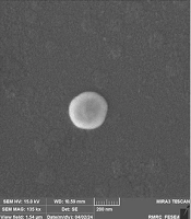 Preparation of Honey-Loaded Liposomes and Evaluation of Their Physicochemical and Antibacterial Properties