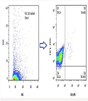 Expression Modulation of Immune Inhibitory Molecules by Small Molecule Inhibitor Drugs in Leukemic Cells of Chronic Lymphocytic Leukemia
