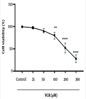 The Protective Effects of Mitochondrial Therapy Against Vincristine- Induced Nephrotoxicity in the Rat’s Renal Proximal Tubular Cells