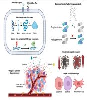 AI-Powered Insights into Drug Resistance in Gastric Cancer: A Path Toward Precision Therapy