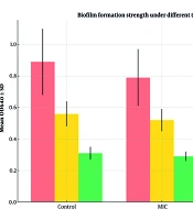 Investigation of Peppermint (Mentha piperita) Extract on the Inhibition of Biofilm Formation by Acinetobacter baumannii Strains Isolated from Clinical Samples