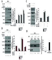 Pin1 as a Central Modulator of Wnt/β-Catenin Signaling in Pulmonary Fibrosis: Interplay with EBV-LMP1 and Therapeutic Implications