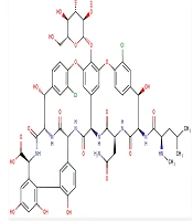 Vancomycin Insights: An Update on Mechanism, Activity, Toxicity, Resistance, and Novel Drug Delivery Systems