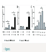 Cancer-Associated Fibroblasts Enhance Oxaliplatin Resistance in Colorectal Cancer Cells via Paracrine IL-6: An In Vitro Study