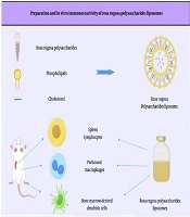 Preparation and in vitro Immunoreactivity of Rosa rugosa Polysaccharide Liposomes