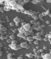 Design and Optimization of Chitosan/Montmorillonite Nanoparticle for Sustained Vancomycin Delivery in Peri-implantitis