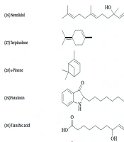 Iran J Pharm Res