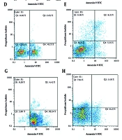 In-vitro Assessment of the Proliferation and Apoptosis of Thyroid Cancer Cells Using Valproic Acid and Retinoic Acid Alone and in Combination with Etoposide and Epirubicin