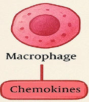 Research Progress on the Diagnosis and Treatment of Intestinal Fibrosis in Crohn's Disease with Traditional Chinese and Western Medicine