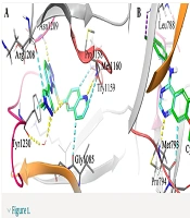 Iran J Pharm Res