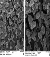 Biosynthesis and Characterization of Selenium Nanoparticles by Kocuria Strain Bm3: Evaluating Their Synergistic Antimicrobial Activity with Chlorellavulgaris Crude Extract Against Multidrug-Resistant Bacteria