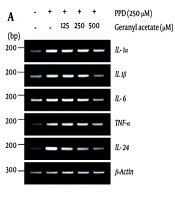 Geranyl Acetate Attenuates Para-phenylenediamine-induced Cytotoxicity, DNA Damage, Apoptosis, and Inflammation in HaCaT Keratinocytes