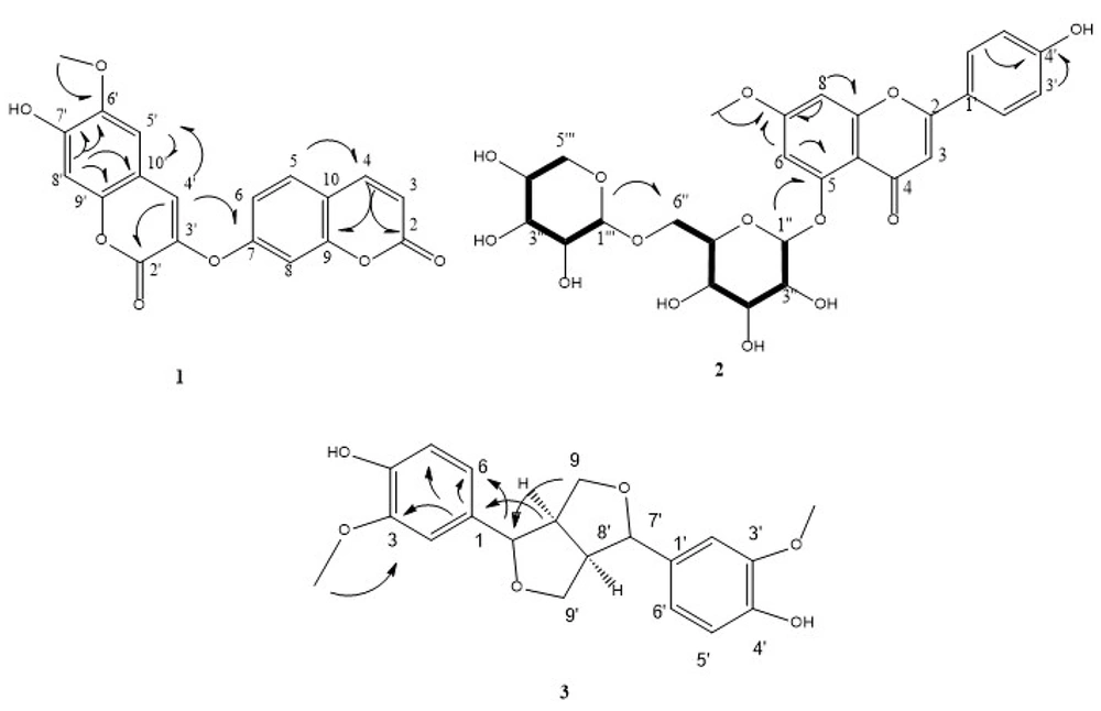 HSQC-TOCSY correlations (bold line), and key HMBC interactions for compounds 1 - 3 HSQC-TOCSY correlations (bold line), and key HMBC interactions for compounds 1 - 3