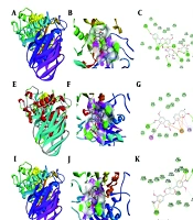 Phenolic Compounds from Diarthron iranica: Enzymatic and in Silico Insights Into α-Amylase Inhibitory Activity