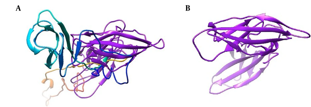 Tertiary structures predicted by AlphaFold 2.0. A, extracellular domain of interleukin-6 receptor (IL-6R) (pLDDT = 81, pTM = 0.707); B, selected sequence as selected sequence interleukin-6 receptor (seIL-6R) (pLDDT=93.2, pTM=0.814). Models with pLDDT > 90 and pTM > 0.5 are considered reliable. Tertiary structures predicted by AlphaFold 2.0. A, extracellular domain of interleukin-6 receptor (IL-6R) (pLDDT = 81, pTM = 0.707); B, selected sequence as selected sequence interleukin-6 receptor (seIL-6R) (pLDDT=93.2, pTM=0.814). Models with pLDDT > 90 and pTM > 0.5 are considered reliable.