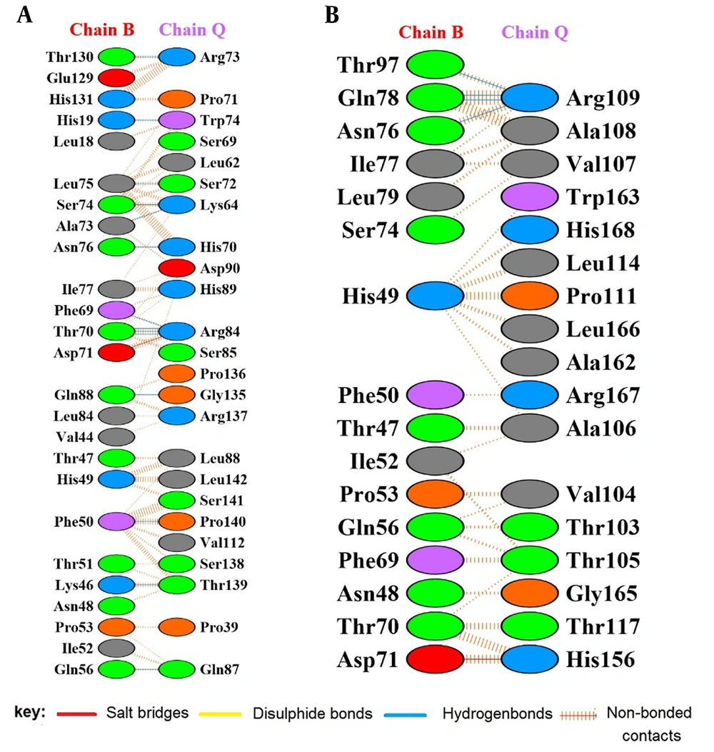 Protein interactions extracted by Protein Data Bank (PDBsum) after protein-protein docking. A, extracellular domain of interleukin-6 receptor (IL-6R) (365 aa, chain Q) and glycoprotein 130 (gp130) (chain B); B, selected sequence selected sequence interleukin-6 receptor (seIL-6R) (180 aa, chain Q) and gp130 (chain B). Protein interactions extracted by Protein Data Bank (PDBsum) after protein-protein docking. A, extracellular domain of interleukin-6 receptor (IL-6R) (365 aa, chain Q) and glycoprotein 130 (gp130) (chain B); B, selected sequence selected sequence interleukin-6 receptor (seIL-6R) (180 aa, chain Q) and gp130 (chain B).