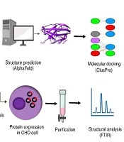 Design, Expression, and Binding Interactions Study of the Recombinant Engineered IL-6R