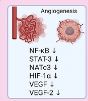 Isoliquiritigenin in Breast Cancer: A Systematic Review of Its Preventive and Anti-metastatic Mechanisms