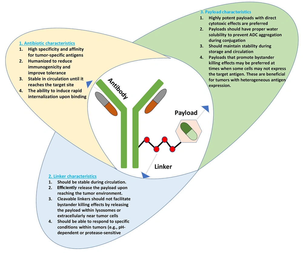 Components and characteristics of antibody-drug conjugates (ADCs); schematic representation of an ADC structure, highlighting its three main components: A, antibody; B, linker; and C, payload (arrows indicate the characteristics associated with each component). Components and characteristics of antibody-drug conjugates (ADCs); schematic representation of an ADC structure, highlighting its three main components: A, antibody; B, linker; and C, payload (arrows indicate the characteristics associated with each component).