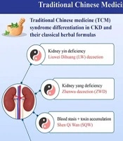 Chinese Herbal Medicine in the Treatment of Chronic Kidney Disease: A Narrative Review of Mechanisms and Therapeutic Potential