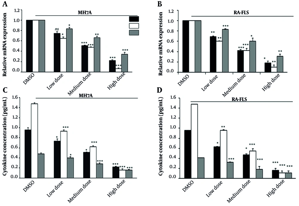 Analysis of pro-inflammatory cytokine expression in MH7A synoviocytes treated with brepocitinib. A, MH7A cells were treated with brepocitinib at concentrations of 0.5 µM, 1 µM, and 5 µM for 24 hours. Total RNA was extracted using TRIzol reagent, and cDNA was synthesized using a reverse transcription kit. B, RA-FLS cells were treated with brepocitinib at concentrations of 0.5 µM, 1 µM, and 5 µM for 24 hours. Total RNA was extracted using TRIzol reagent, and cDNA was synthesized using a reverse transcription kit. Quantitative real-time PCR (qPCR) was performed using SYBR Green master mix on a QuantStudio 5 thermocycler. Specific primers were used to detect IL-6, TNF-α, and IFN-γ transcripts, with GAPDH serving as the endogenous control. Relative mRNA expression was calculated using the 2<sup>-ΔΔCt</sup> method and normalized to DMSO-treated control cells. Results represent the mean fold change from three independent experiments. C, cell culture supernatants of MH7A were collected from the same treatment groups after 24 hours and analyzed by enzyme-linked immunosorbent assay (ELISA). D, cell culture supernatants were collected from RA-FLS after 24 hours of brepocitinib treatment and analyzed by enzyme-linked immunosorbent assay (ELISA). Commercially available ELISA kits were used to quantify the concentrations of IL-6, TNF-α, and IFN-γ according to the manufacturers' protocols. Absorbance was measured at 450 nm using a microplate reader, and cytokine levels were interpolated from standard curves. Data were normalized to total protein content in each well. Results are shown as mean cytokine concentrations (pg/mL) from three independent experiments. Low, medium, and high doses correspond to 0.5, 1, and 5 µM brepocitinib, respectively. Values represent mean ± SD from at least three independent experiments. Significance compared with control: * P < 0.05, ** P < 0.01, *** P < 0.001. Bonferroni-corrected comparisons confirmed significance for all cytokines, and regression analysis supported dose-dependent suppression (P < 0.01). In all experiments, low, medium, and high doses correspond to 0.5 µM, 1 µM, and 5 µM brepocitinib, respectively. Analysis of pro-inflammatory cytokine expression in MH7A synoviocytes treated with brepocitinib. A, MH7A cells were treated with brepocitinib at concentrations of 0.5 µM, 1 µM, and 5 µM for 24 hours. Total RNA was extracted using TRIzol reagent, and cDNA was synthesized using a reverse transcription kit. B, RA-FLS cells were treated with brepocitinib at concentrations of 0.5 µM, 1 µM, and 5 µM for 24 hours. Total RNA was extracted using TRIzol reagent, and cDNA was synthesized using a reverse transcription kit. Quantitative real-time PCR (qPCR) was performed using SYBR Green master mix on a QuantStudio 5 thermocycler. Specific primers were used to detect IL-6, TNF-α, and IFN-γ transcripts, with GAPDH serving as the endogenous control. Relative mRNA expression was calculated using the 2<sup>-ΔΔCt</sup> method and normalized to DMSO-treated control cells. Results represent the mean fold change from three independent experiments. C, cell culture supernatants of MH7A were collected from the same treatment groups after 24 hours and analyzed by enzyme-linked immunosorbent assay (ELISA). D, cell culture supernatants were collected from RA-FLS after 24 hours of brepocitinib treatment and analyzed by enzyme-linked immunosorbent assay (ELISA). Commercially available ELISA kits were used to quantify the concentrations of IL-6, TNF-α, and IFN-γ according to the manufacturers' protocols. Absorbance was measured at 450 nm using a microplate reader, and cytokine levels were interpolated from standard curves. Data were normalized to total protein content in each well. Results are shown as mean cytokine concentrations (pg/mL) from three independent experiments. Low, medium, and high doses correspond to 0.5, 1, and 5 µM brepocitinib, respectively. Values represent mean ± SD from at least three independent experiments. Significance compared with control: * P < 0.05, ** P < 0.01, *** P < 0.001. Bonferroni-corrected comparisons confirmed significance for all cytokines, and regression analysis supported dose-dependent suppression (P < 0.01). In all experiments, low, medium, and high doses correspond to 0.5 µM, 1 µM, and 5 µM brepocitinib, respectively.