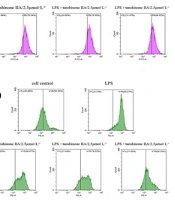 Tanshinone ⅡA Inhibits Alveolar Macrophage Polarization, Inflammation and Mitochondrial Damage by Regulating the PAPR-1 Signaling Pathway