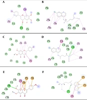Antimalarial Activity of Methoxylated Flavonoid Fraction (Cirsimaritin-Dominated) from Artemisia kopetdaghensis in Plasmodium berghei-Infected Mice with in silico Analysis
