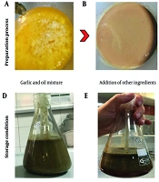 S-Allyl Cysteine Accumulation Depends on Temperature and Aging Duration of an Allium Organosulfur Compound Blend (Allium sativum)