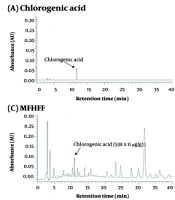 Hepatoprotective and Antioxidant Activities of a Medicine-Food Homology Formula and Its Lactiplantibacillus plantarum-Fermented Product Against Acetaminophen-Induced Oxidative Stress in HepG2 Cells