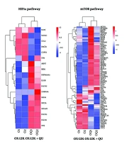 Quercetin Induces Macrophage Polarization through PI3K-AKT Pathway in Atherosclerosis: Network Pharmacology, Molecule Docking and in vitro Analysis